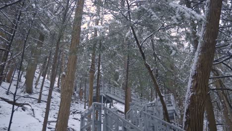 Tilting-shot-of-a-Long-Staircase-through-a-snow-covered-forest-with-trees-leading-up-the-side-of-a-steep-cliff