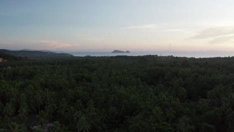 Sonnenuntergang-Auf-Der-üppigen-Tropischen-Insel-Koh-Phangan-Mit-Palmenwald