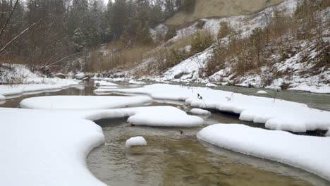 Flowing-river-in-Winter-through-snow-and-melted-ice