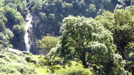 Aber-Falls-Snowdonia-Montaña-Galés-Parque-Nacional-Cascada-Bosque