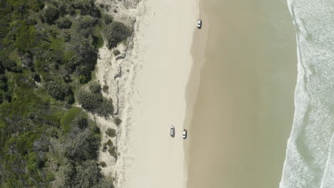 4k-drone-top-view-shot-of-a-cars-driving-along-the-beautiful-beach-on-Fraser-Island,-Australia