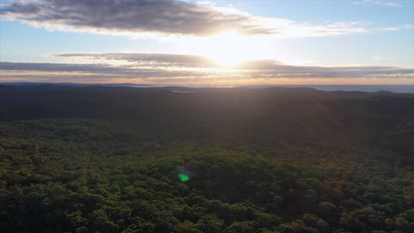 Aerial:-Flying-over-thick-forest-and-bushland-towards-the-sunrise-on-the-horizon,-in-Sydney-Australia