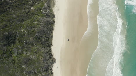 Vista-Superior-De-Dron-4k-De-Un-Automóvil-Conduciendo-A-Lo-Largo-De-La-Hermosa-Playa-En-La-Isla-Fraser,-Australia