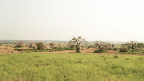 Voraus-Reisen-In-Der-Afrikanischen-Savanne,-Drohne-4k,-Angola,-Afrika-4