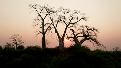 Reisen-Nach-Oben,-Drohne-4k,-Sonnenuntergang-In-Afrika,-Angola,-Afrika-12