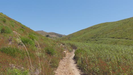 Un-Camino-En-Medio-De-Un-Sereno-Campo-De-Hierba-En-Las-Montañas-Del-Parque-Natural-Sintra-cascais