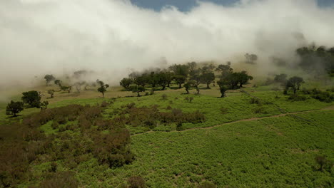 Luft-Drohne-Berge-Neblig-Filmisch-Bäume-Madeira-Fanal