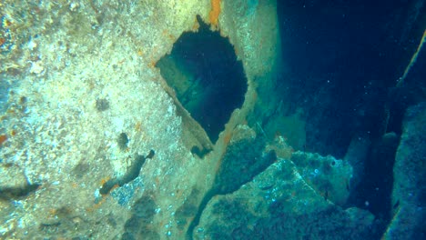Underwater-scuba-diving-sunken-shipwreck-Michelle,-Dugi-Otok,-Croatia