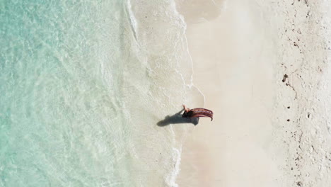 Top-down-aerial-shot-of-woman-walking-along-idyllic-tropical-waters-and-white-sand-beach,-Central-America