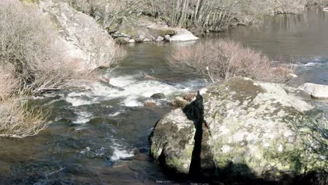 Stream-of-the-river-Esla-in-the-area-of-​​Sanabria