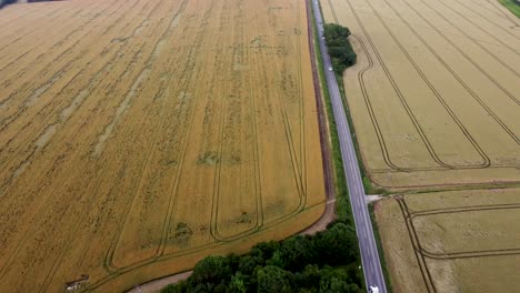 4k-Drohnenvideo-Einer-Landstraße-Zwischen-Zwei-Weizenfeldern