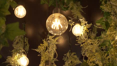 hanging-lights-with-interior-garden