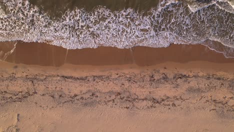 Luftbild-Von-Wellen,-Die-Am-Sandstrand-An-Einem-Karibischen-Meeresstrand-Brechen