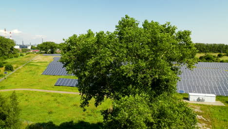 Paneles-Solares-Colocados-En-Un-Prado-Rural-Cerca-De-Gdansk,-Pomerania,-Polonia---Drone-Ascendiendo