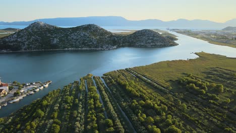 Delta-river-Neretva,-a-protected-nature-reserve-with-fertile-soil-good-for-growing-fruit-trees-in-Croatia-in-summer-sunset