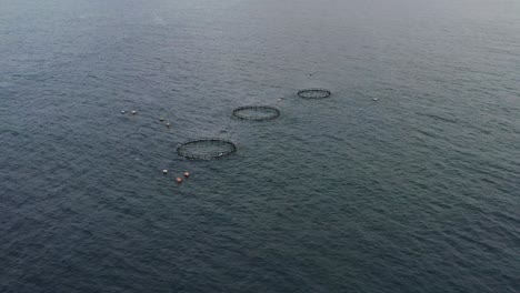 Aerial-dolly-in-shot-toward-sea-fish-farm,-the-offshore-aquaculture-and-underwater-cage-at-Lambai-island,-Xiaoliuqiu,-Pingtung-county-Taiwan,-Asia