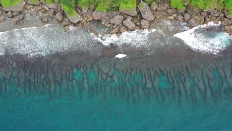 Aerial-top-down-pedestal-up-shot-capturing-Houshi-Fringing-Reef-and-beautiful-turquoise-sea-water-with-waves-crashing-the-shore-at-black-dwarf-cave-at-Xiaoliuqiu-Lambai-Island,-Taiwan