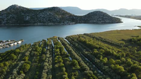 Where-river-Neretva-meets-the-sea-and-creates-very-fertile-soil-for-ecological-agricultural,-Croatia-from-above