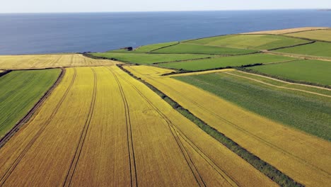 Rural,-coastal-region-with-rich-crop-fields-and-ocean-views