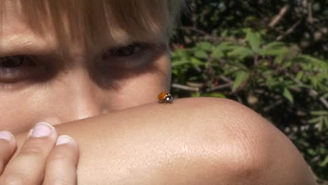 Cute-Ladybug-or-ladybird-beetle-walks-on-kids-arm-and-flies-away,-close-up-view