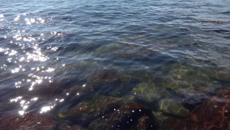 Glistening-Water-With-Mossy-Rocks-At-Seashore-During-Summer