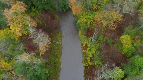 Flussantenne-Mit-Herbstfarben
