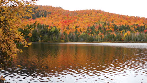 Atemberaubender-Weitwinkel-Der-Herbstfarben,-Die-In-Der-Nähe-Eines-Sees-In-Rangely-Maine,-USA,-Einfallen