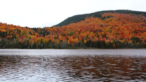 Beautiful-panning-shot-of-a-lake-in-the-Fall