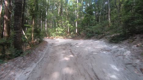 Rear-facing-driving-point-of-view-POV-travelling-along-a-rutted-sandy-inland-track-in-the-jungle,-surrounded-by-thick-bushland-with-tall-trees---ideal-for-interior-car-scene-green-screen-replacement