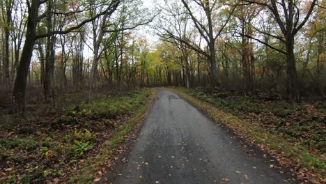 FPV-through-Autumn-forest-road