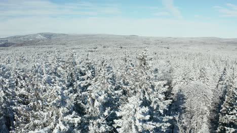 Panoramic-aerial-view-of-snow-covered-forest-with-Rogla-ski-resort-in-far-background,-Pohorje,-Slovenia