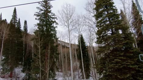 Beautiful-point-of-view-from-a-ski-lift-at-a-ski-resort-in-Colorado-on-an-overcast-winter-day-passing-tall-aspen-and-pine-trees-looking-into-a-forest