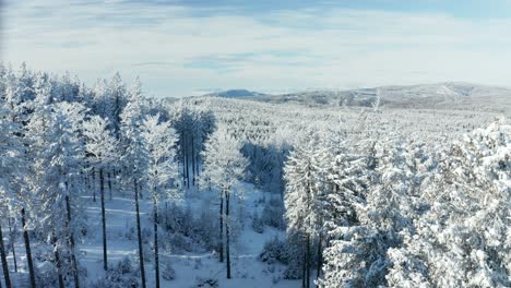 Snow-covered-forest,-aerial-view-of-winter-woodland-with-Alps-far-behind-on-the-horizon,-Pohorje,-Slovenia,-vicinity-of-Rogla-sky-resort