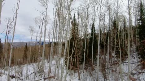 Schöne-Aussicht-Von-Einem-Skilift-In-Einem-Skigebiet-In-Colorado-An-Einem-Bewölkten-Wintertag,-Vorbei-An-Hohen-Espen-Und-Kiefern,-Die-In-Einen-Wald-Blicken