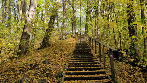 Hölzerner-Pilgerpfad,-Der-Mit-Gefallenen-Herbstblättern-Im-Wald-In-Westschweden-Bedeckt-Ist