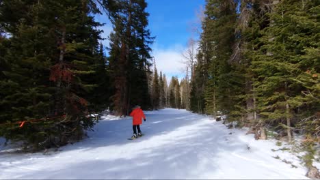 Eine-Snowboarderin,-Die-Einen-Wunderschönen-Verschneiten-Pfad-In-Einem-Skigebiet-In-Colorado-Hinuntergeht,-Mit-Großen-Kiefern-Auf-Beiden-Seiten