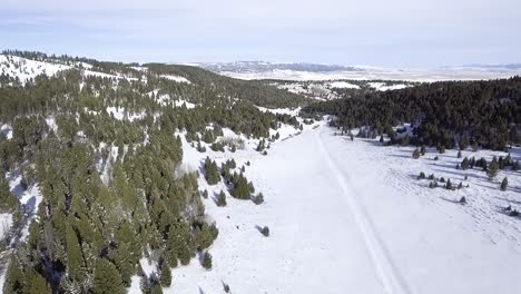 Los-árboles-Rodean-El-Valle-Cubierto-De-Nieve