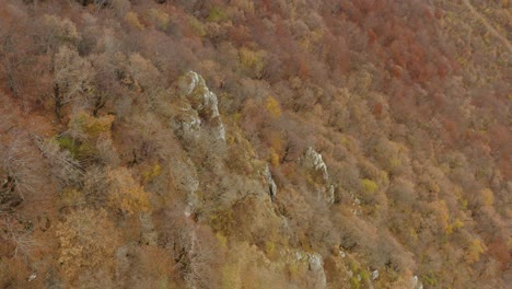 Rocky-hillside-in-Serbian-countryside,-autumnal-forest-wilderness,-aerial-view