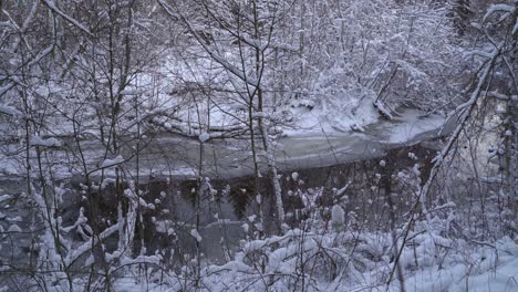 Flussbiegung-Im-Winter