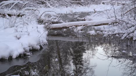 Snowy-tree-trunk-over-the-creek
