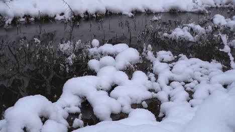 Snowy-creek