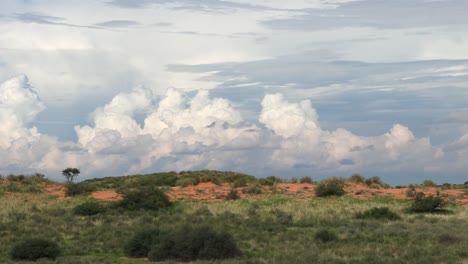Zoom-out-from-a-dramatic-scenery-in-the-Kgalagadi-Transfrontier-Park-showing-the-green-landscape,-dunes-and-storm-clouds