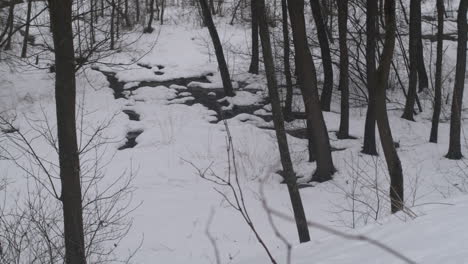 Slow-pan-through-woods-and-creek-bed-covered-in-snow