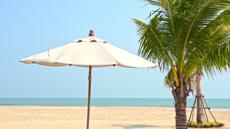 Sun-umbrella-and-palm-tree-on-white-beach