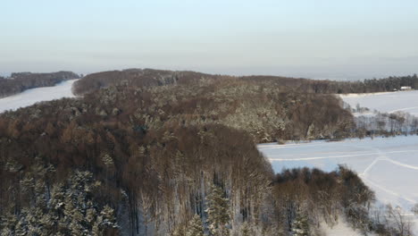 Luftaufnahme-Der-Waldwildnis-Im-Winter,-Wunderschönes-Landschaftliches-Ziel-Mit-Schnee-Bedeckt