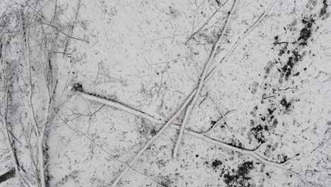 Aerial-top-down-of-snow-covered-wooden-branches-and-footsteps-in-forest-during-winter