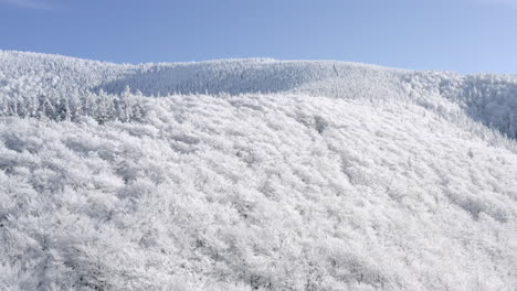 Aufsteigende-Luftaufnahme-Einer-Winterwunderland-Berglandschaft,-Mit-Rotz-Bedeckte-Waldbäume