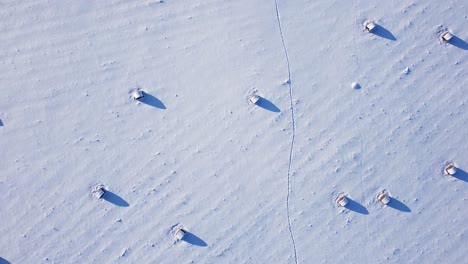 Hay-roll-filed-covered-with-snow-aerial-view-low-sunlight-long-shadows