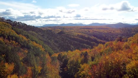 Slow-drone-flight-over-autumn-forest-and-a-blue-sky