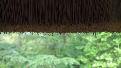 Thatched-roof-seen-from-inside-cottage-on-rainy-day-in-green-forest